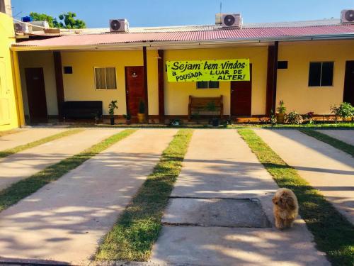 a dog standing in front of a building at Pousada Luar de Alter in Alter do Chao