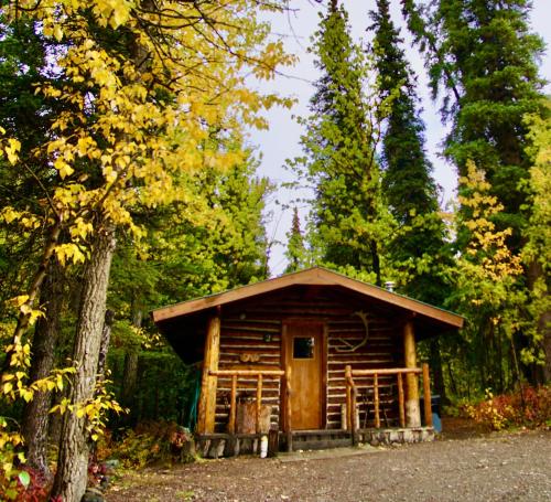 a small log cabin in the woods at Carlo Creek Cabins in McKinley Park
