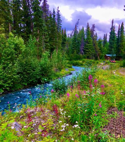 a river in a field with flowers and trees at Carlo Creek Cabins in McKinley Park