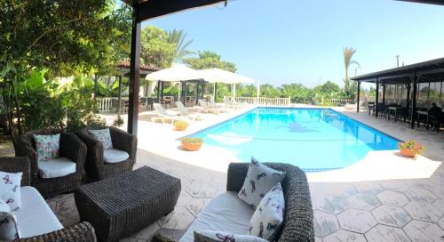 a swimming pool with wicker chairs at Club Alda in Lapithos