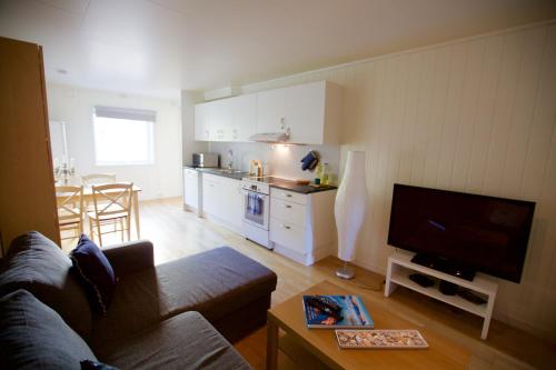 Kuhinja oz. manjša kuhinja v nastanitvi Modern apartment