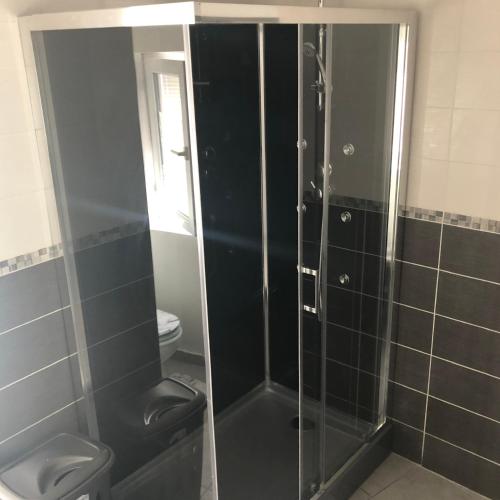 une salle de bain avec douche et toilettes dans l'établissement Gîte Luna, à Sablet