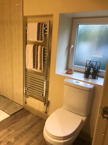 a bathroom with a white toilet and a window at Squirrel cottage in Cowling
