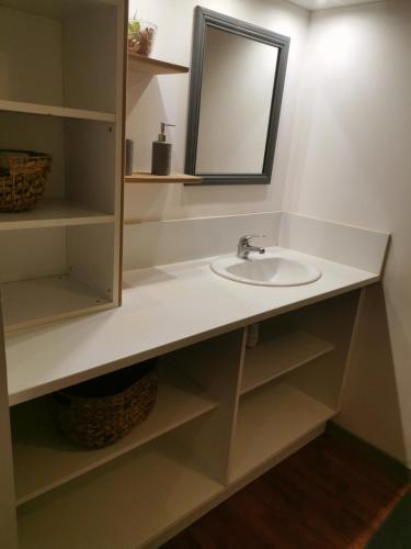 une salle de bain avec un lavabo et un miroir dans l'établissement La Basse Biguerie proche zoo de la flèche, à Saint-Jean-de-la-Motte