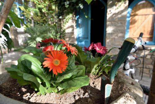 a planter filled with flowers in a garden at Andrebyke in Gergei