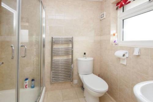 a bathroom with a toilet and a shower and a sink at Seaside Studio right on the coastal path. in West Bay
