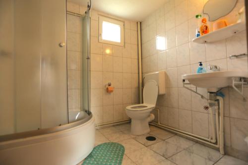 een badkamer met een douche, een toilet en een wastafel bij Silver Tree in Bran