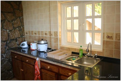 encimera de cocina con fregadero y ventana en Exotic Guest House, en Anse Possession