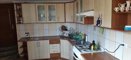 a kitchen with a sink and a stove top oven at Barda in Vorokhta