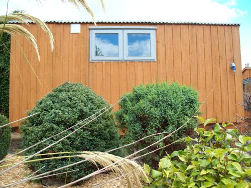 Κήπος έξω από το Waterloo Farm Shepherds Hut Glamping with Sun Lounge