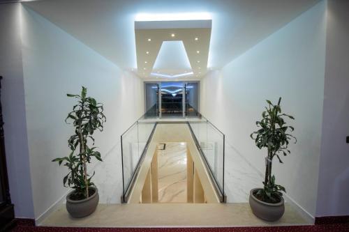 a hallway with two potted plants in a building at Hotel Vivas in Durrës