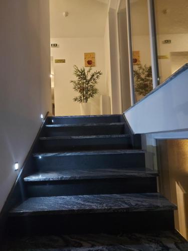 a staircase in a building with a black escalator at Garni hotel Mali predah - novi deo in Knjazevac.