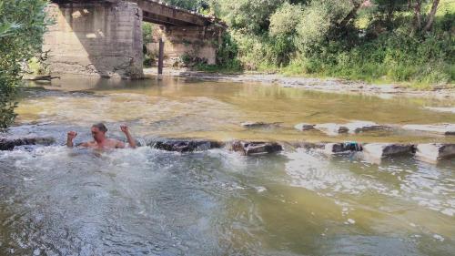 a man swimming in a river with a group of hippos at Bilovoddya Hotel in Sil'