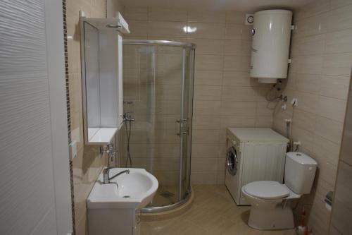 La salle de bains est pourvue d'une douche, de toilettes et d'un lavabo. dans l'établissement Al Maha, à Banja Koviljača