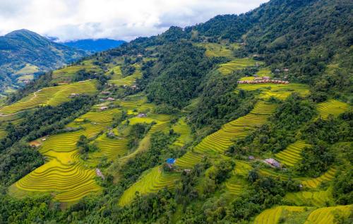 an aerial view of a valley of rice terraced fields at Hoang Su Phi Lodge in Ha Giang