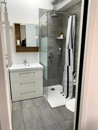 a bathroom with a shower and a sink and a toilet at Le 9ième Entracte in Marseille