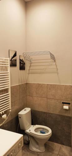 a bathroom with a toilet and a bath tub at Studio flat in a historical XIX c. building. in Kaunas