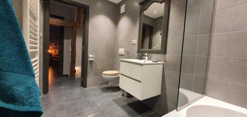 a bathroom with a toilet and a sink and a mirror at O Près de la Lienne, maison de campagne de charme, accord parfait entre confort et authenticité in Lierneux