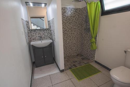 ein Bad mit einem Waschbecken, einem WC und einer Dusche in der Unterkunft LOCATIONS VERT EDEN in La Plaine des Cafres
