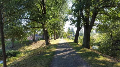 a dirt road with trees on either side at Holiday apartment with free parking Boven Jan Enkhuizen in Enkhuizen