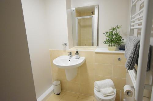 a bathroom with a sink and a toilet and a mirror at The Bootlace Apartment in Leicester