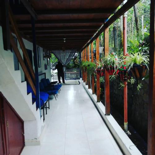a person walking down a hallway with chairs and plants at Agradable casa de Campo Villa Maruja. in Palmira