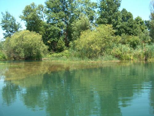 a large body of water with trees in the background at Mrežnički kutak in Duga Resa