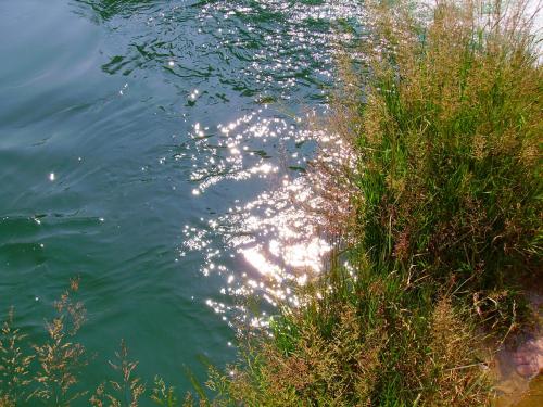a body of water with grass next to the shore at Mrežnički kutak in Duga Resa