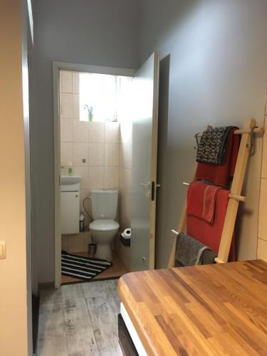 Vannas istaba naktsmītnē Gaujas apartaments