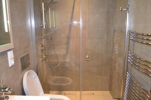 a shower with a glass door in a bathroom at Luxury Wellness Apartment in Rokytnice nad Jizerou