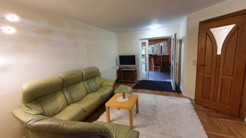 a living room with a green couch and a table at Pension Nippgen in Radebeul