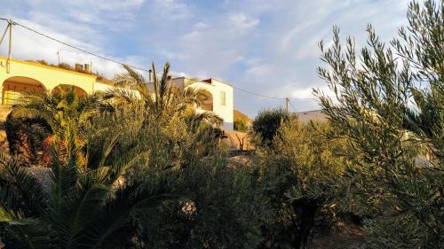 a yellow building with plants in front of it at Casa Cueva Calatrava in Tabernas