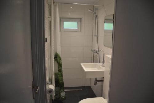 Koupelna v ubytování Vakantiehuis Rosa