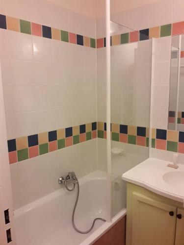 une salle de bain avec douche et lavabo dans l'établissement Studio sur le Domaine du Golf de Pont Royal, à Mallemort