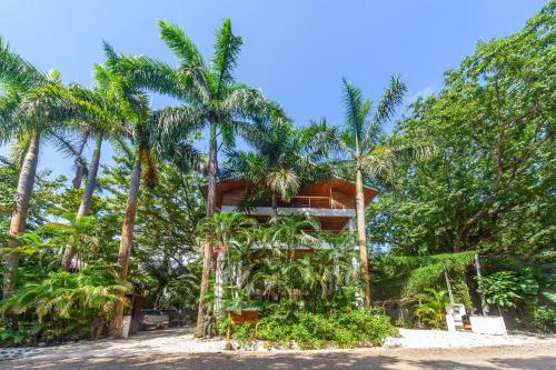 Entire Nosara Tree House – Photos 3