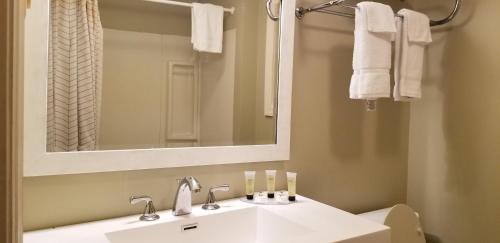 uma casa de banho com um lavatório branco e um espelho. em Sea Haven Resort Motel em Southampton