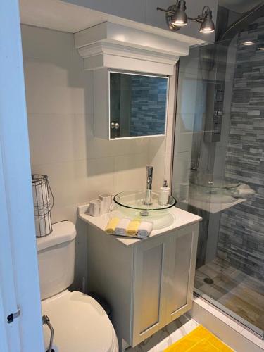 a bathroom with a toilet and a sink and a shower at C'DaView Apartment Suite in Montego Bay