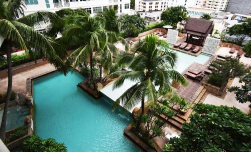バンコクにあるCentury Park Hotel - SHA Extra Plusのヤシの木が茂るスイミングプールの上からの眺め