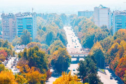 a city in autumn with trees and a bridge at HOTEL AYNI in Dushanbe