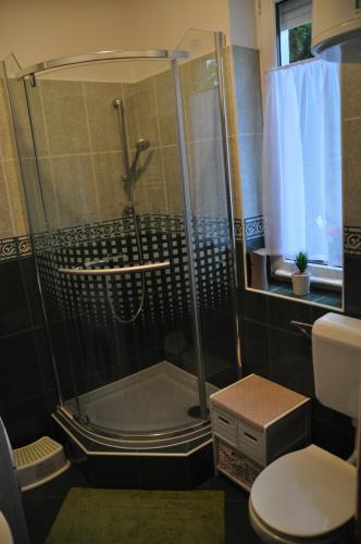 La salle de bains est pourvue d'une douche et de toilettes. dans l'établissement Győrszem Apartman, à Győr