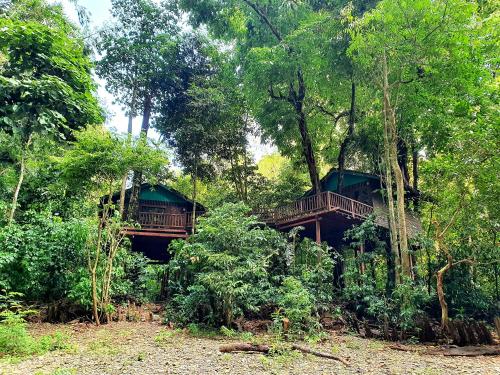 a tree house in the middle of the forest at Our Jungle House in Khao Sok