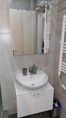 Un baño de Apartman No1,Župa Wellness & Spa Kopaonik
