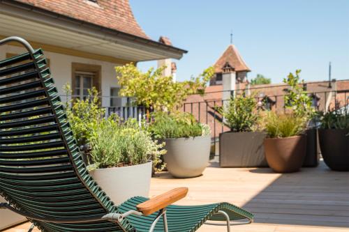 Zahrada ubytování ADLER Boutique Hotel