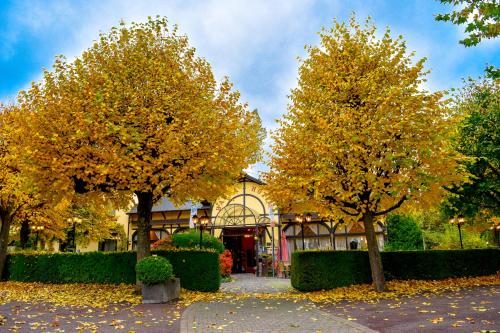 two trees with yellow leaves in front of a building at HANSA Hotel in Mendig