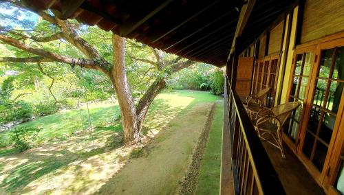 a bench on a porch of a house with a tree at Dunes Unawatuna Hotel in Unawatuna