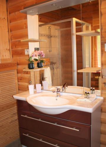 a bathroom with a sink and a mirror at Chalet mit Schlossblick Wernigerode, Chalet 2 in Wernigerode