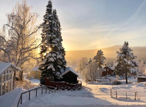 a christmas tree in the snow in a village at Hotell Åre Fjällsätra in Undersåker