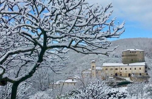 Arenarius Home Resort & SPA durante l'inverno