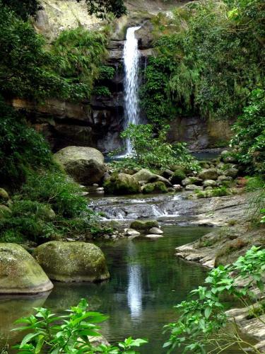 a waterfall in the middle of a river at Youlin Homestay in Meishan