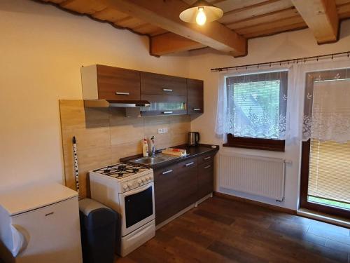 Kuchyňa alebo kuchynka v ubytovaní Apartmány Švec